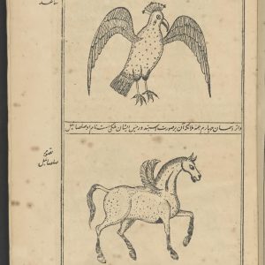 دانلود کتاب نایاب عجایب المخلوقات، متن فارسی، مصور چاپ سنگی قدیمی